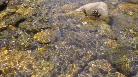 River Flowing Over Rocks Stock Footage 51934573
