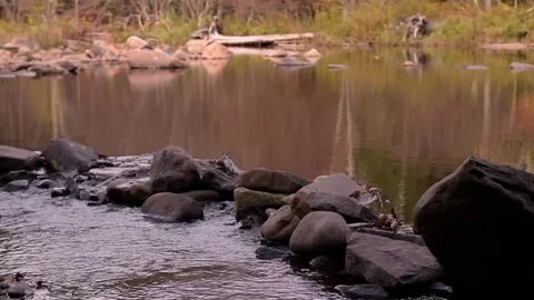 River flowing over rocks Video stock 81593080