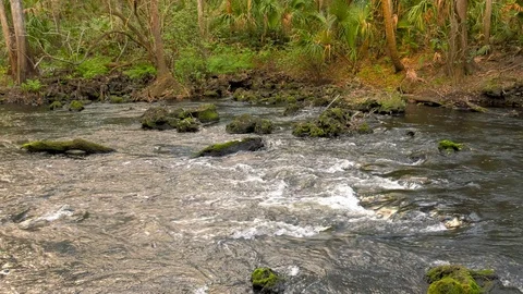 River Flowing over Rocks Stock Footage 116561644