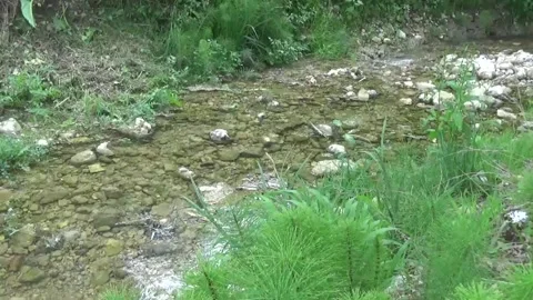 River flowing over rocks in the mountains Stock Footage 307822147