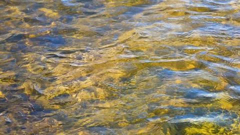River flowing over rocks in shallow water Stock Footage 128253856