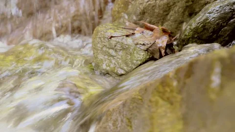 River flowing over rocks in slow motion in Sapanca city / Turkey Vídeo Stock 79924887
