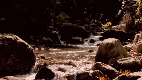 River flowing over rocks in slow motion in Sapanca city / Turkey Vídeo Stock 79924991