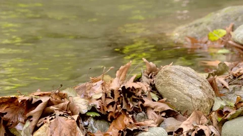 River flowing over rocks in slow motion in Sapanca city / Turkey Vídeos de archivo 79925393