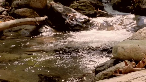 River flowing over rocks in slow motion in Sapanca city / Turkey Vídeo Stock 79925525