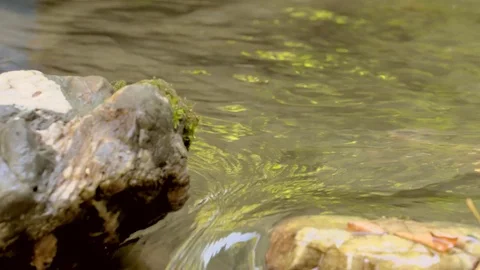 River flowing over rocks in slow motion in Sapanca city / Turkey Vídeo Stock 79925937