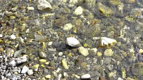 River flowing over rocks in a stream Vídeos de archivo 149722507