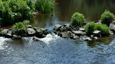 River flowing over rocks in summer with sunlight glinting on surface of water Vídeos de archivo 113073429