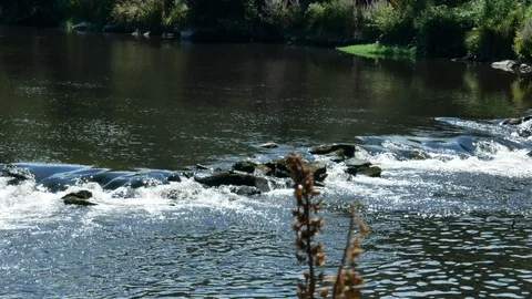 River flowing over rocks in summer with sunlight glinting on surface of water. Stock Footage 113073745