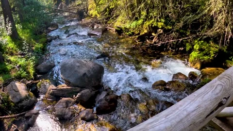 River flowing over rocks in the woods Stock Footage 282539599