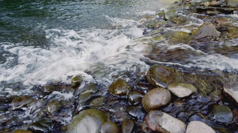 River flowing over Smooth Stones creek water cascade Also in 4K  Vidéo 40690436