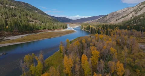 River Flowing Past Autumn Forest Wyoming Stock Footage 333416642