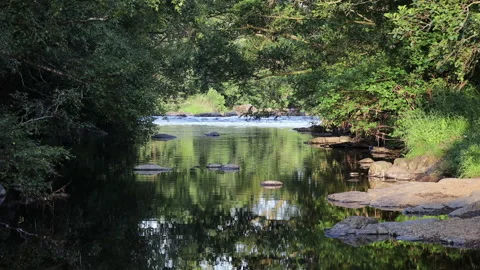 River Flowing Past a Quiet Pool in Summer, North Pennines, UK Stock Footage 157545713