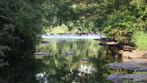 River Flowing Past a Quiet Pool in Summer, North Pennines, UK Stock Footage 157546021