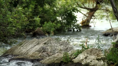 River flowing past rocks Stock Footage 100663568