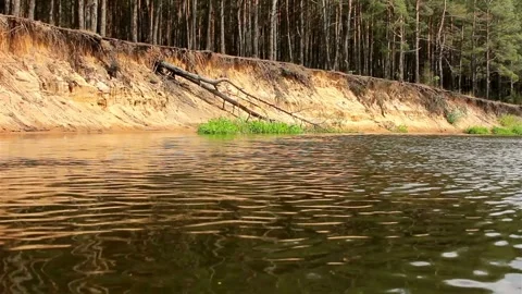 River flowing past a steep sandy bank with pines Stock Footage 333834134
