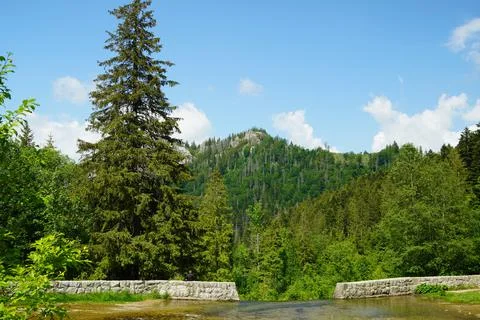 River flowing 写真素材