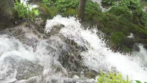 River flowing into Plitvice waterfall Stock Footage 319776536