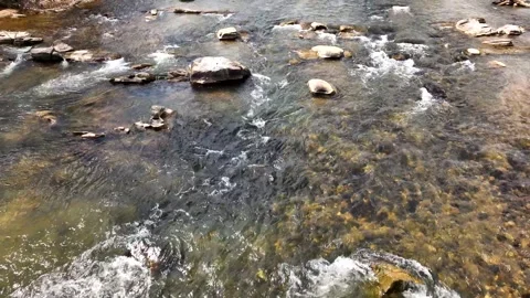 River flowing with pristine clear water over rocks and stones with sunshine Stock Footage 245113452