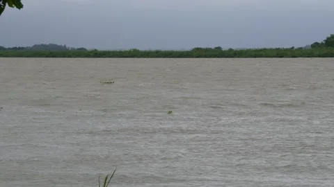 The river is flowing in proper direction Stock Footage 316234750