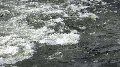River flowing rapids motion close-up video footage. Dark green water foaming Stock Footage 271178870