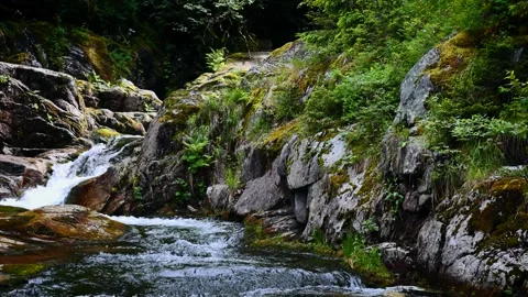 A river flowing in the Retezat Mountains Video stock 311548683