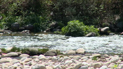 River flowing right behind rocks through the forest Stock Footage 49556095
