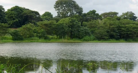 River flowing right Stock Footage 191724010