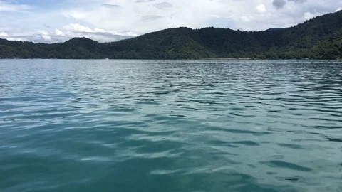 River flowing from right to left Stock Footage 81477777