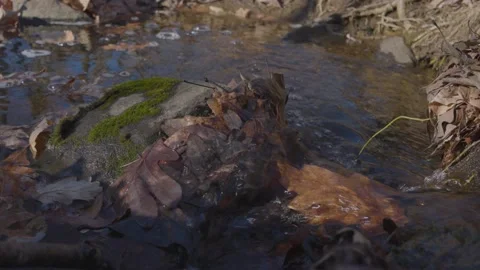 River Flowing into a Rock Covered in Moss Vídeo Stock 235221518