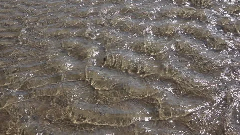 River flowing for the sandy channel Stock Footage 91118404