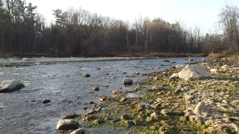 River flowing showing the river bed Stock Footage 143196197