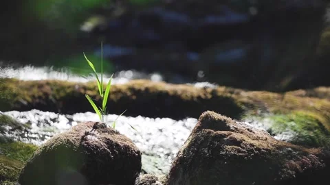 River flowing in slow motion at 120fps 720p Stock Footage 134445311