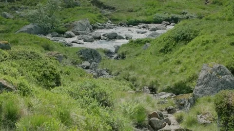 River flowing slowly through the rocks Stock Footage 245377261