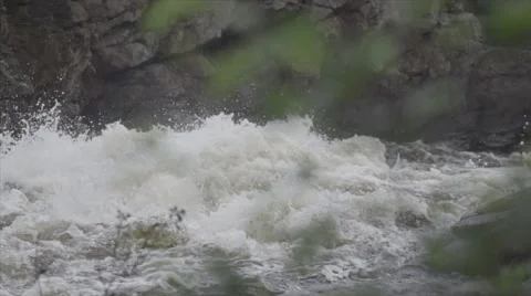 River flowing slowmotion leaves on the foreground 100fps 1080p Stock Footage 52823599