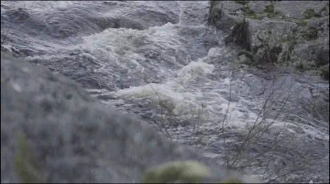 River flowing smoothly rock on the foreground 100fps 1080p Stock Footage 52822689