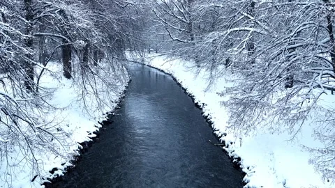 River flowing in a snowy winter forest. Stock Footage 276190401