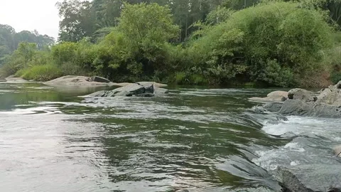 River flowing on stone bottom. Video stock 208140334