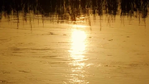 The river flowing at sunset Stock Footage 258997001
