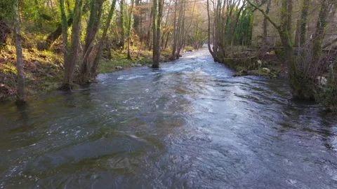 River Flowing Through Autumn Forest In A Coruna, Spain. drone shot Stock Footage 261583099