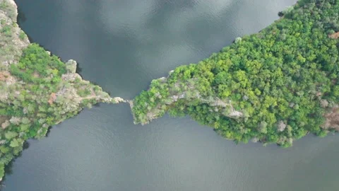 River flowing through a beautiful forest landscape Video stock 148037793