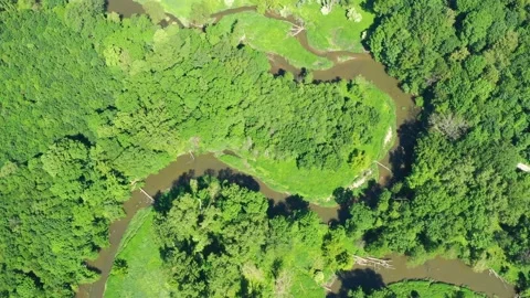 River flowing through a beautiful forest landscape Video stock 148039702