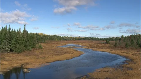 River flowing through a beautiful landscape surrounded with forest, Low Stock Footage 109136434