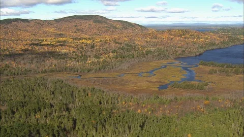 River flowing through a beautiful landscape surrounded with forest and mountain Stock Footage 109136473