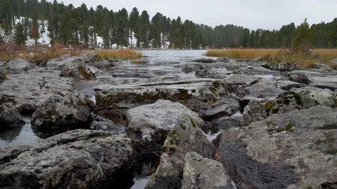River flowing through big stones in Altai mountain forest. Autumn in Altai Stock Footage 112496331