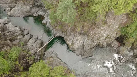 A river flowing through a canyon surrounded by trees. Stock Footage 204775285
