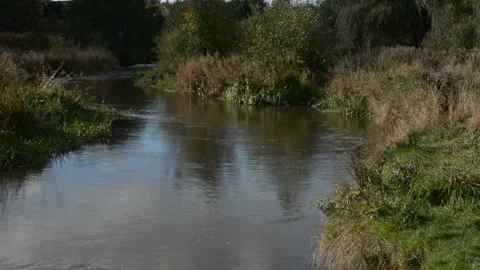 A River Flowing Through The Countryside Stock Footage 163367745