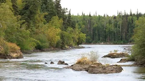 River flowing through dense forest Stock Footage 10749293