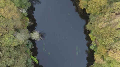 River Flowing Through Dense Forest  - Drone Shot Stock Footage 320609845