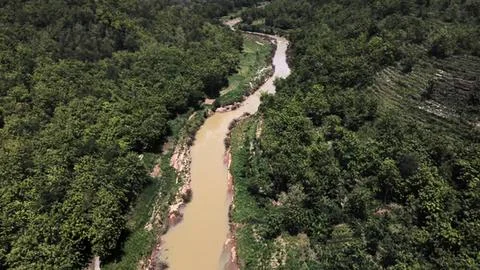 River flowing through dense green forest with trees and rocks Stock Photos